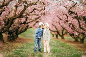 boys standing in peach orchard