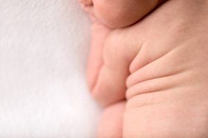 macro details of baby rolls