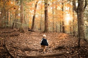 little hiker during his family photography in marietta session