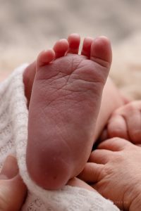 home park in home newborn photographer