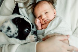 close up of newborn and dog in home park