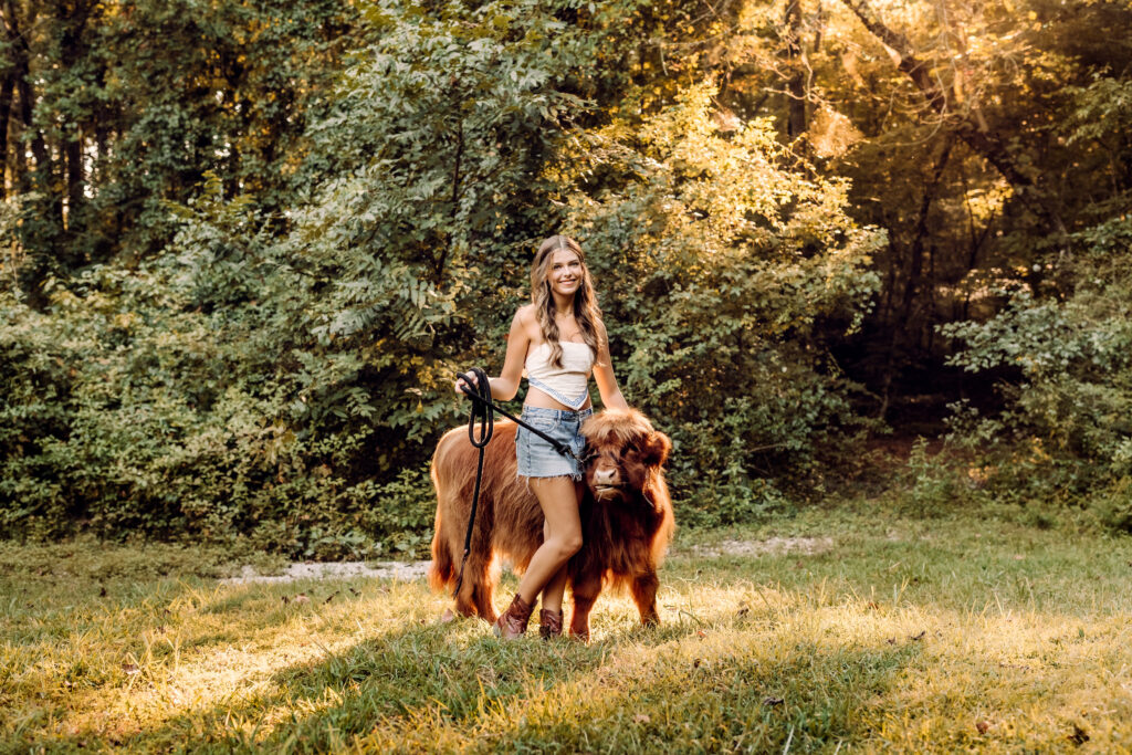 Roswell High School senior walking a highland cow in sunset light